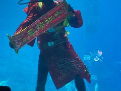 -烟台海昌鲸鲨海洋公园