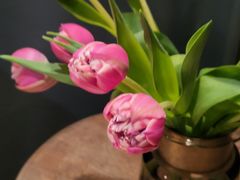 -夏朵花园(复兴西路店)
