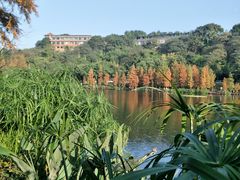 -重庆彩云湖湿地公园