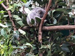 -可伦宾野生动物保护区