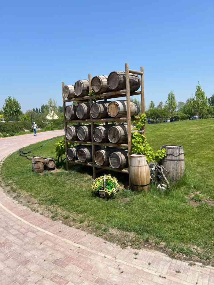 圣露庄园-"就是特意来这里拍照的 可能没有那么的爱."-大众点评移动版