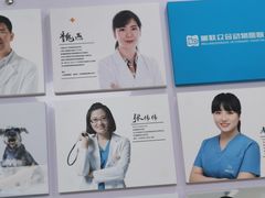 -美联众合动物医院·24h京西诊疗中心
