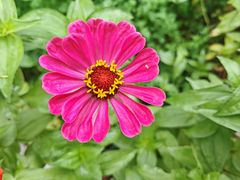 -蘇河湾·新鲁菜·泰山宴(泰山店)