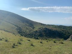 -大姆山草场