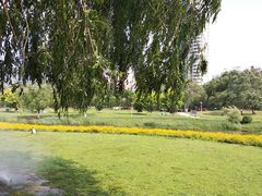 -长白岛森林公园