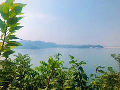 -望湖烤鱼