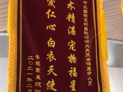 -中农国际动物医院24小时·猫科·骨科·急重症中心