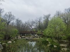 -江苏三台山国家森林公园
