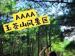 -玉苍山国家森林公园
