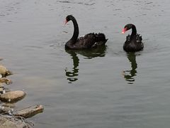-鄱阳湖国家湿地公园