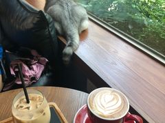 -咖法森林·咖啡  酒吧(天河店)