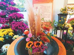 -杭州植物园