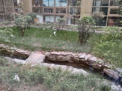 -北京德尔康尼骨科医院