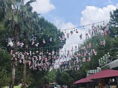 -杭州乐园
