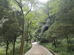 -华山风景名胜区