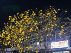 -重庆北碚万达广场