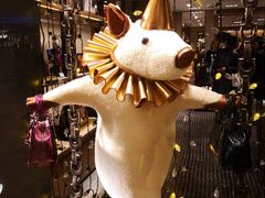 -COACH蔻驰(德基广场店)