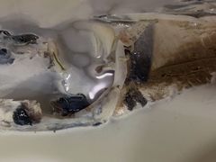 -香山湖渔家大院