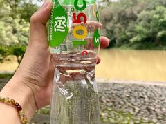 -番禺大夫山森林公园