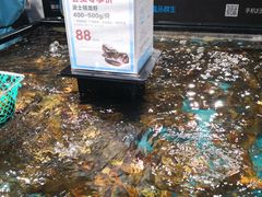 -盒马鲜生(曜一城店)