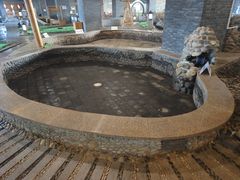 -陆地游轮吉林神农温泉