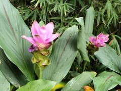 -荔湾湖公园