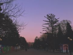 -二一九公园