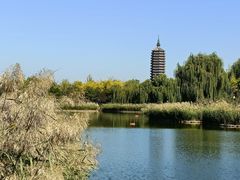 -西海子公园