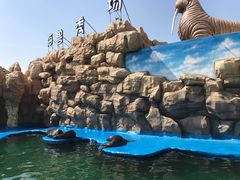 -华夏文旅海洋公园