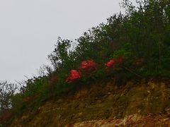 -木兰云雾山