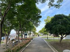-金银湖国家城市湿地公园