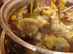 -镇江龙·火锅串串(武侯祠店)