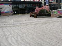 -紫荆广场·花漫里