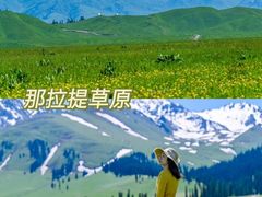 -布尔津河堤夜市