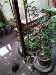 -汉刺青TATTOO STUDIO