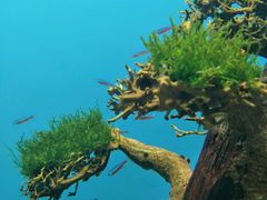 -多彩贵州城极地海洋世界