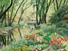 -上海共青森林公园