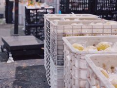 -菜园坝水果市场
