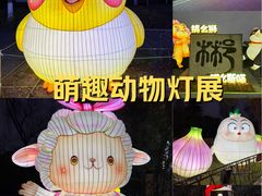 -武汉园博园(武汉自然博物馆)