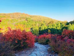 -鬼笑石后山停车场