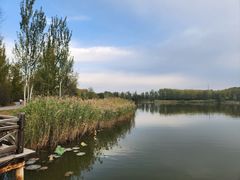 -野鸭湖国家湿地公园