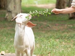 -福建鲤鱼洲酒店