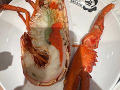 -初色海鲜自助(新辰里亚运村店)