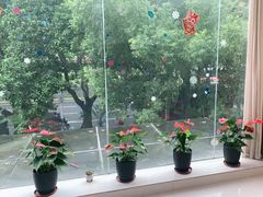 -中泽口腔(台江店)