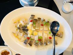 米汤浸东海大黄鱼-炳胜品味(海印总店)