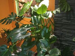 -泰古龙抓龙筋·spa按摩(静安店)