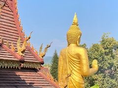 -西双版纳总佛寺