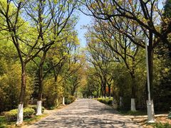 -白塘生态植物园