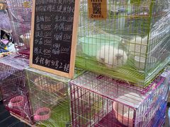 -周浦小上海步行街