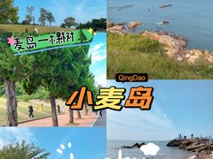 -小麦岛公园